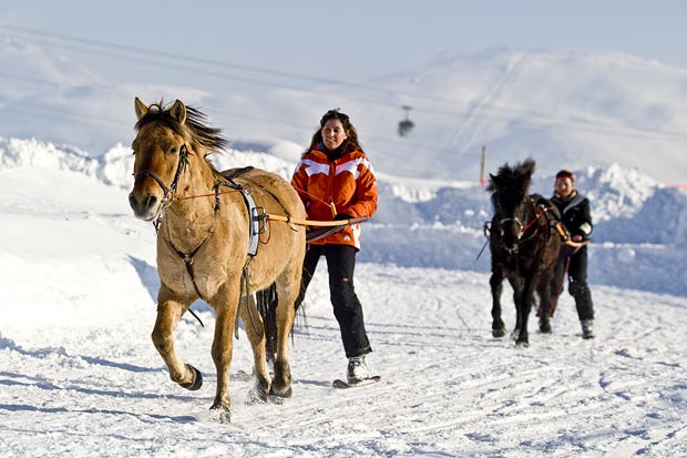 Où pratiquer le ski Joëring